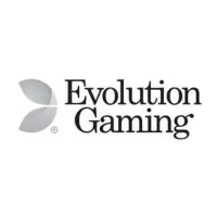 Software Provider - Evolution