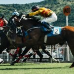 Sportsbetting competition in New South Wales Hotels