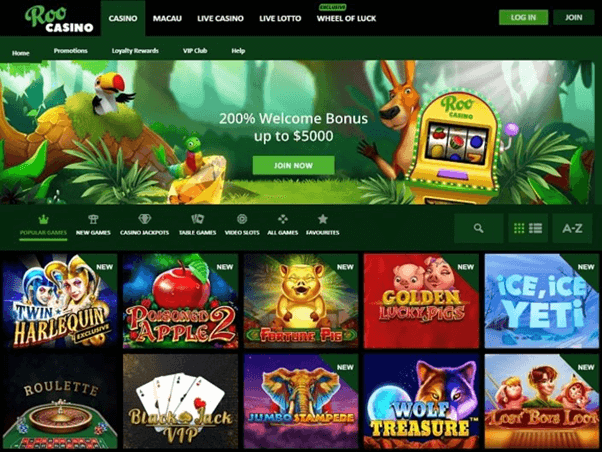Roo Casino Interface
