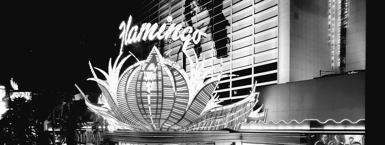 flamingo casino las vegas