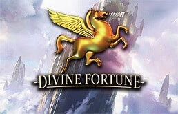 Divine-Fortune-logo