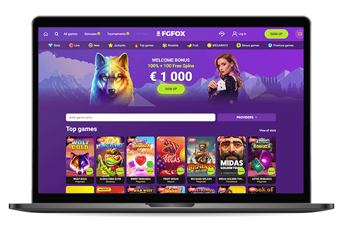 FgFox Online Casino Mockup NL