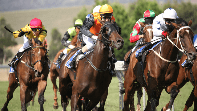 Sports betting on Races Australia