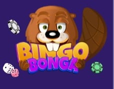 bingo bonga logo
