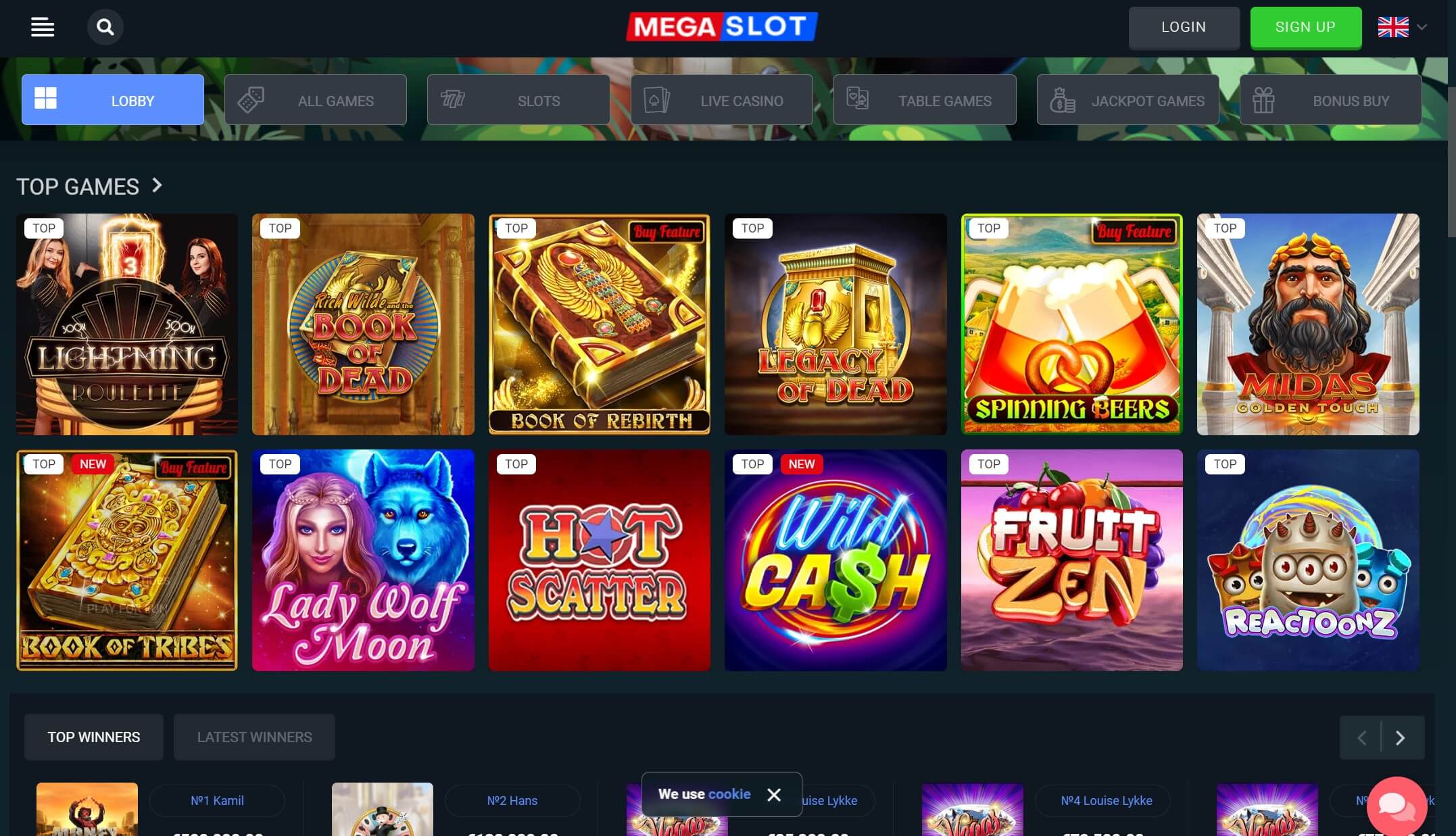 Megaslot Casino Interface