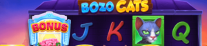 bozo cats banner