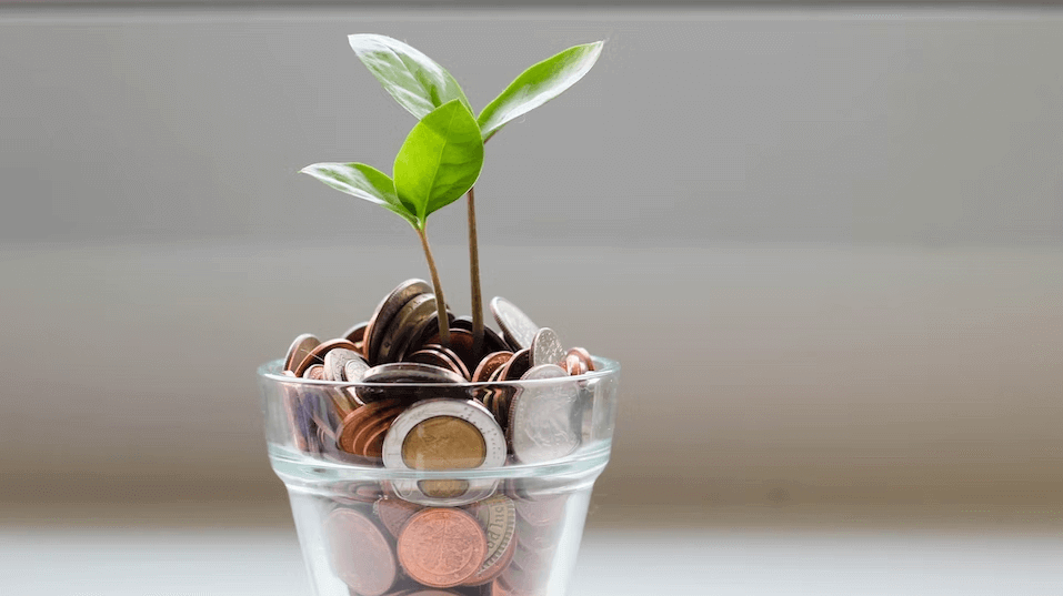 a glass with a plant growing out of money