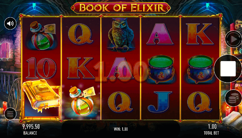 a pokie with a book and a elixir