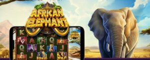 african elephant slot banner pragmatic play