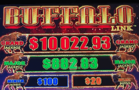 Buffalo Slot Machine big win screen for CA