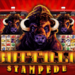 Buffalo Stampede slot review