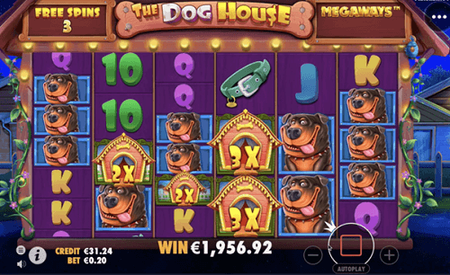 De online Casino Gokkast the Dog House Megaways multipliers en wincombinaties