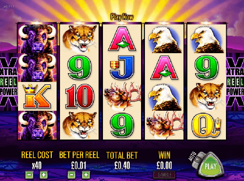 The reels on the Buffalo slot for candians
