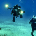 OneTouch Heads Back to the Ocean with Sea Treasure Deep Dive