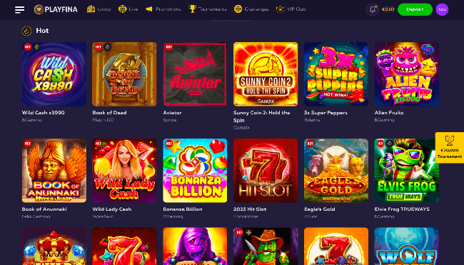 overview of Hot slots on the online Playfina Casino