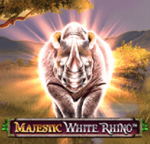 Majestic White Rhino