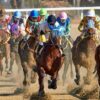 Ultimate Guide to Betting on the Breeders Cup