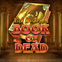 Book of Dead by Playn GO Slot review logo