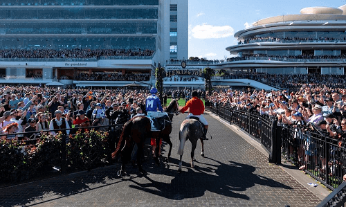 Flemington horse racing a crowd and betting
