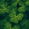 Yggdrasil Launches 3 Lucky Leprechauns for St. Patrick’s Day