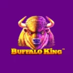 Buffalo King Megaways Slot Review