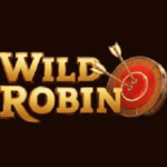 Wild Robin Casino Review