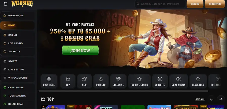 wildsino homepage screenshot img